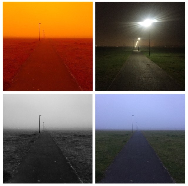 The Town Moor, Newcastle