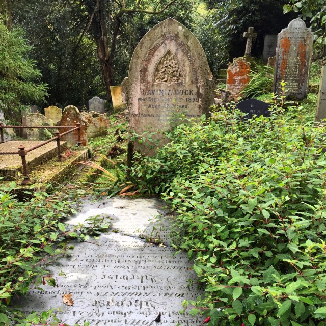 The astonishing cemetary at St Just In Rose, Cornwall, just off the banks of the river.