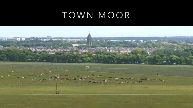 CIRCA SOCIAL MEMORY PRESENTATION.023