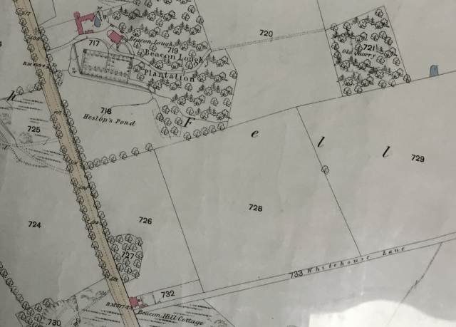 Beacon Lough Plantation from 1877 Ordnance Survey Map of Gateshead from Gateshead Central Library